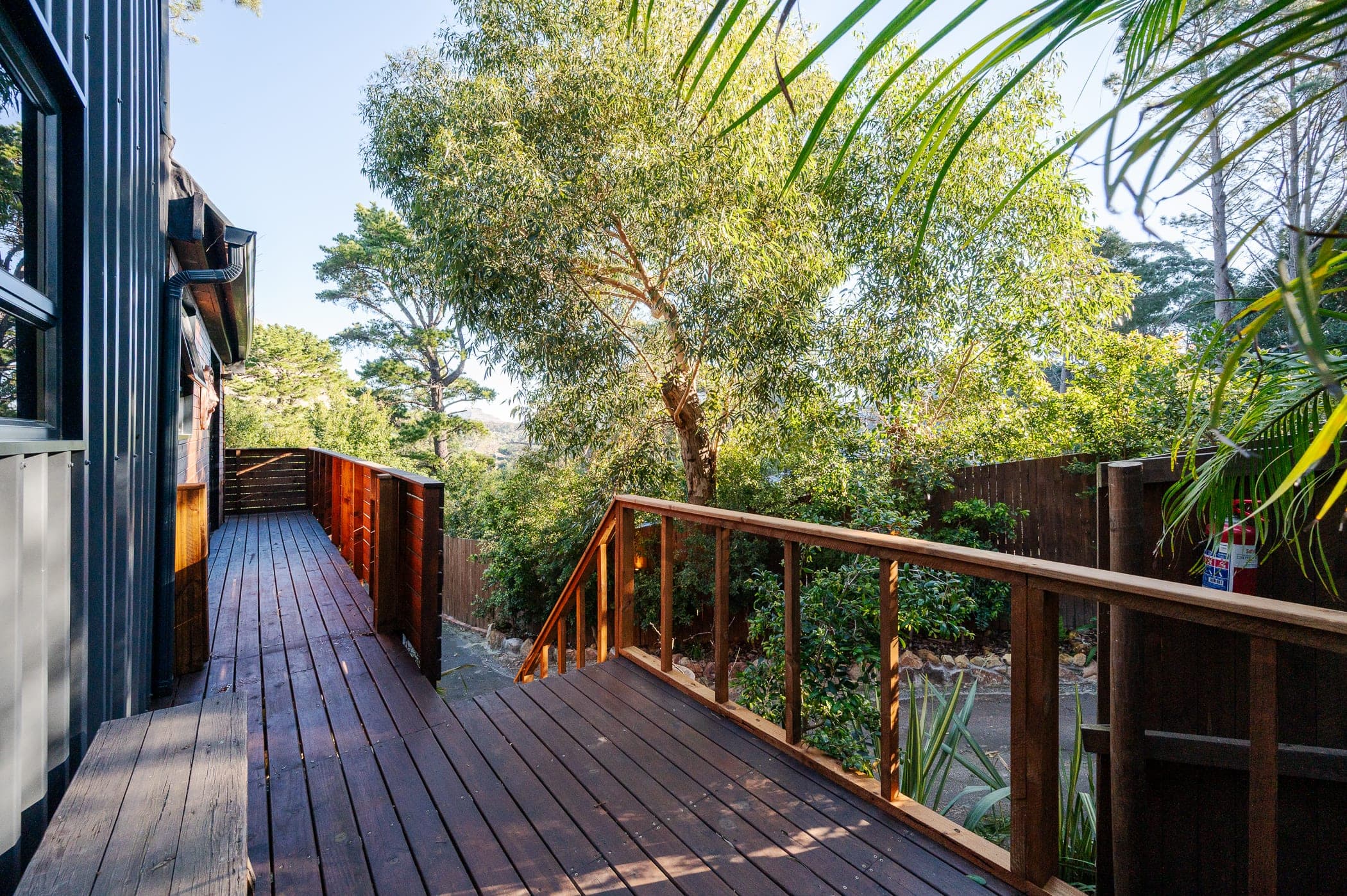 The timber walkway running along the studio between the trees