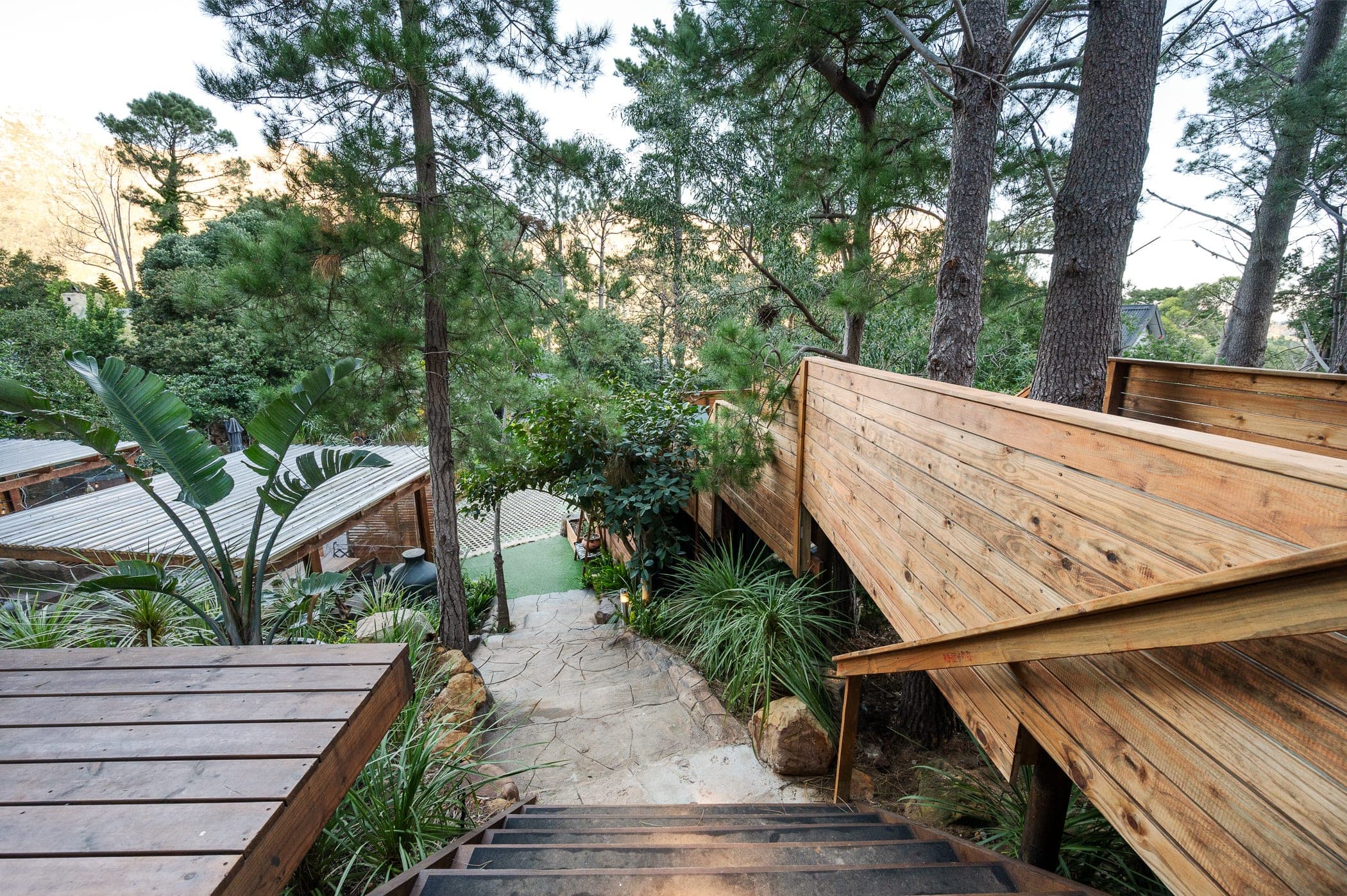 Looking down over the terraced decks and walkways threading between the pines