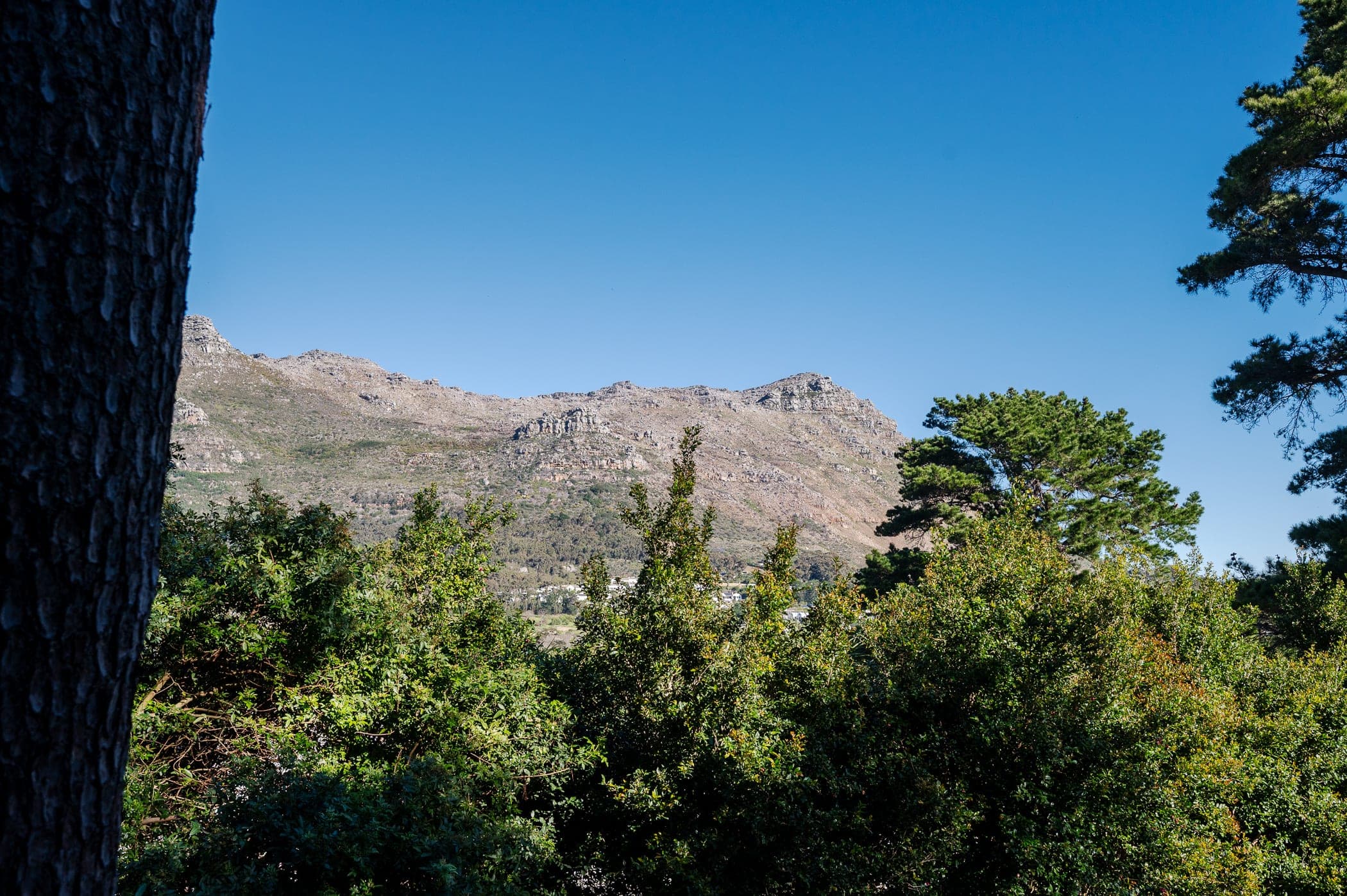 The rocky Hout Bay ridge rising above the indigenous bush and pines