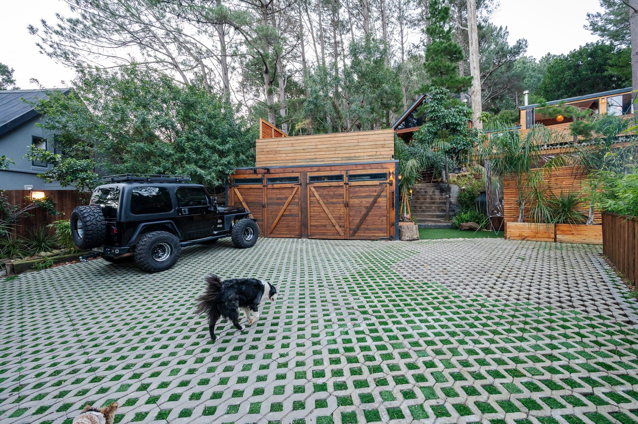 The parking court with a border collie crossing the grass-block paving