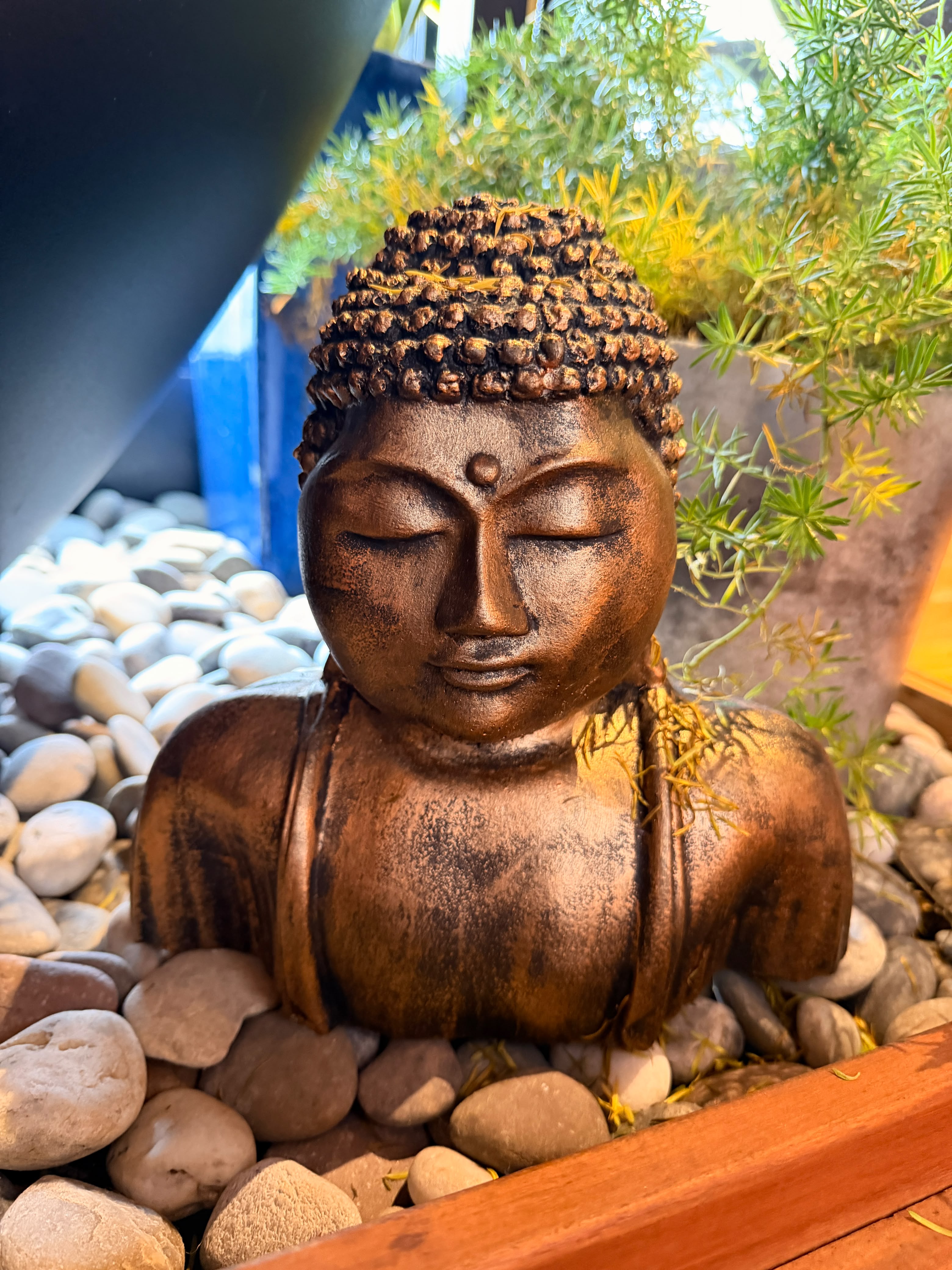 Zen Garden Buddha